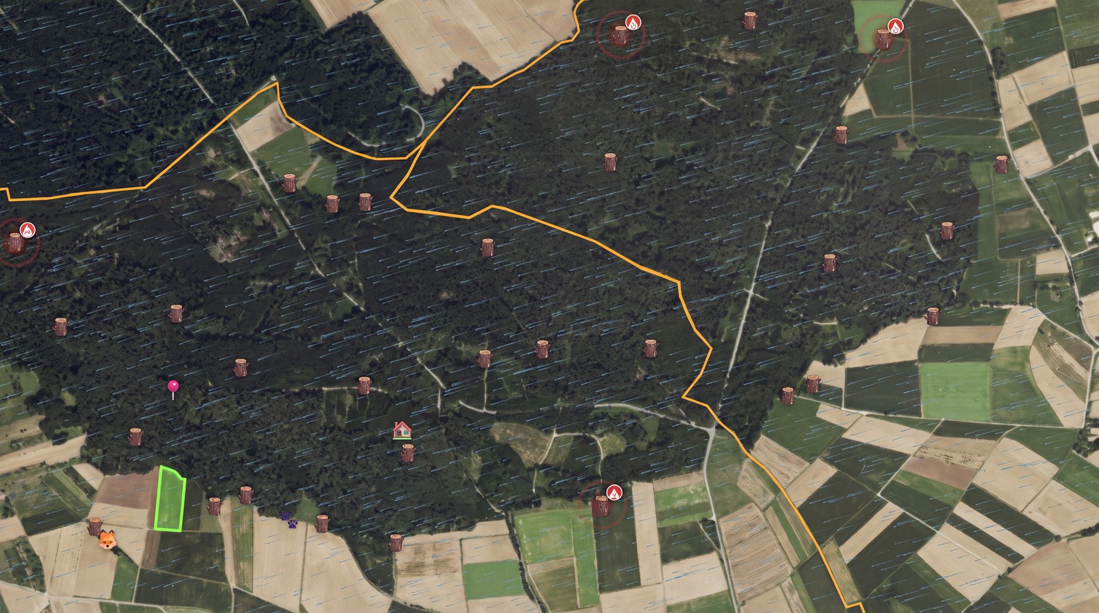 Reviergrenze mit Windanimation und Hochsitzen